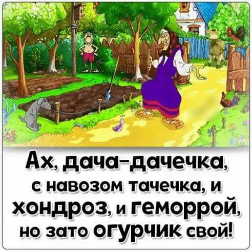 Ах дачадачечк С НОВОЗОМ тачечка И хондроз и геморрой но зато огурчик свой