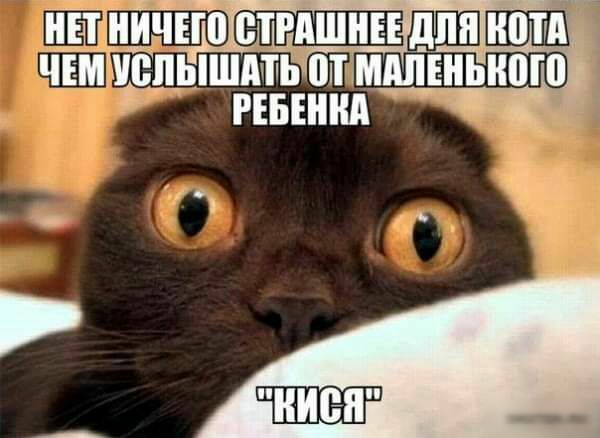 нЕт ііИЧЕП елгпшнн для ччъмчепышдть от шашки
