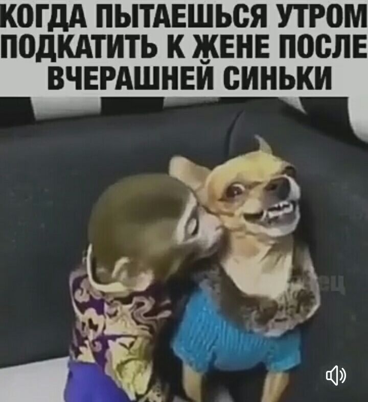 0ГдА ПЫТАЕШЬСЯ УТР0М ПВДКАТИТЬ К ЖЕНЕ ППСЛЕ ВЧЕРАШНЕИ ВИНЬКИ