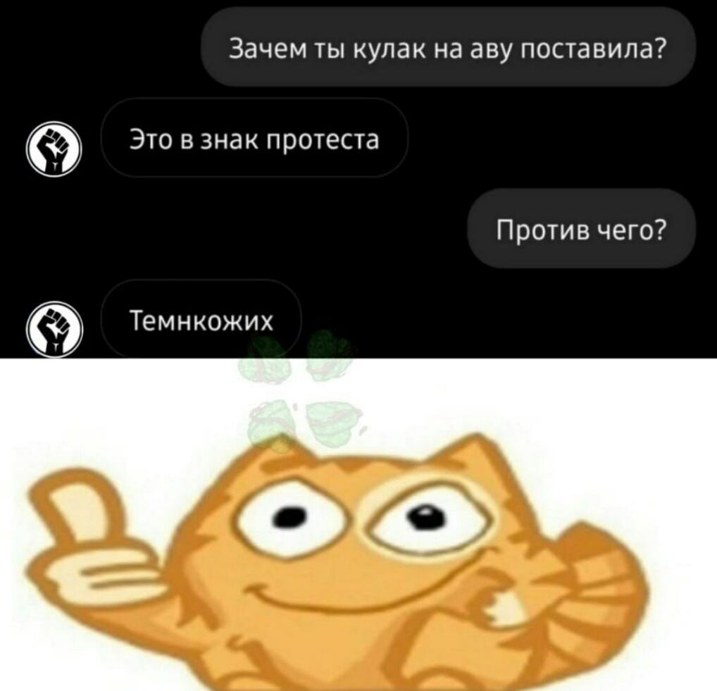 Зачем ты кулак на аву поставила Это в знак протеста Против чего Темнкожих