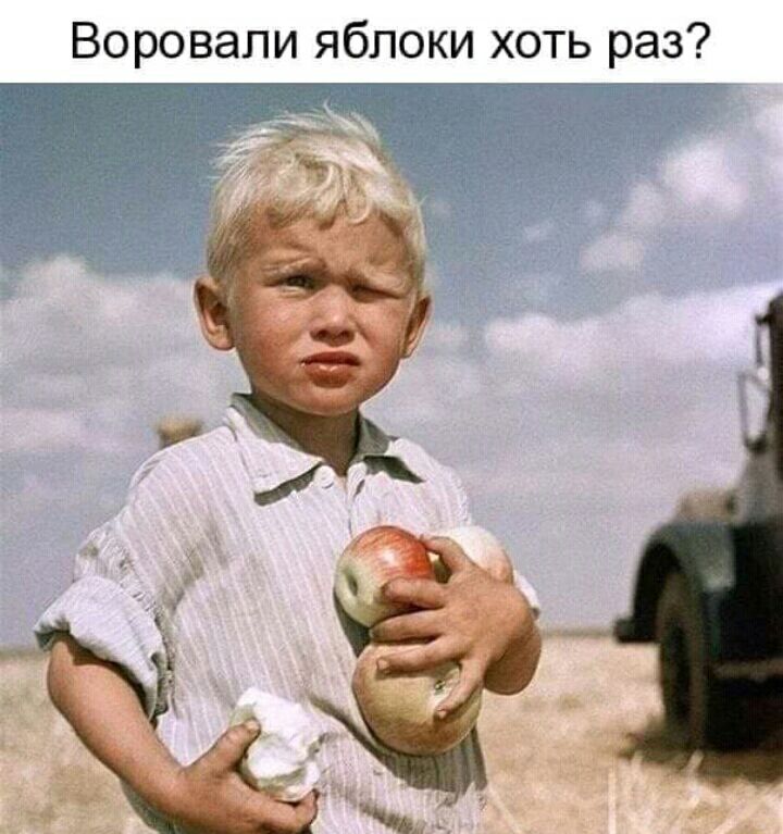 Воровапи яблоки хоть раз п