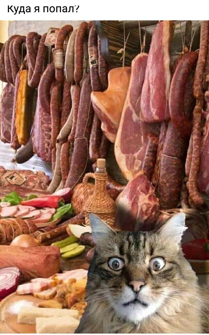 Куда я попал