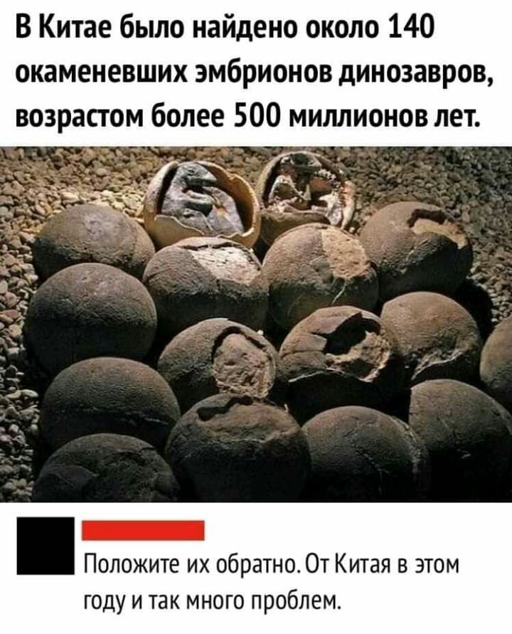 В Китае было найдено около 140 окаменевших эмбрионов динозавров возрастом более 500 миллионов лет _ Положите их обратно От Китая в этом ГОДУ И ТЭК МНОГО проблем