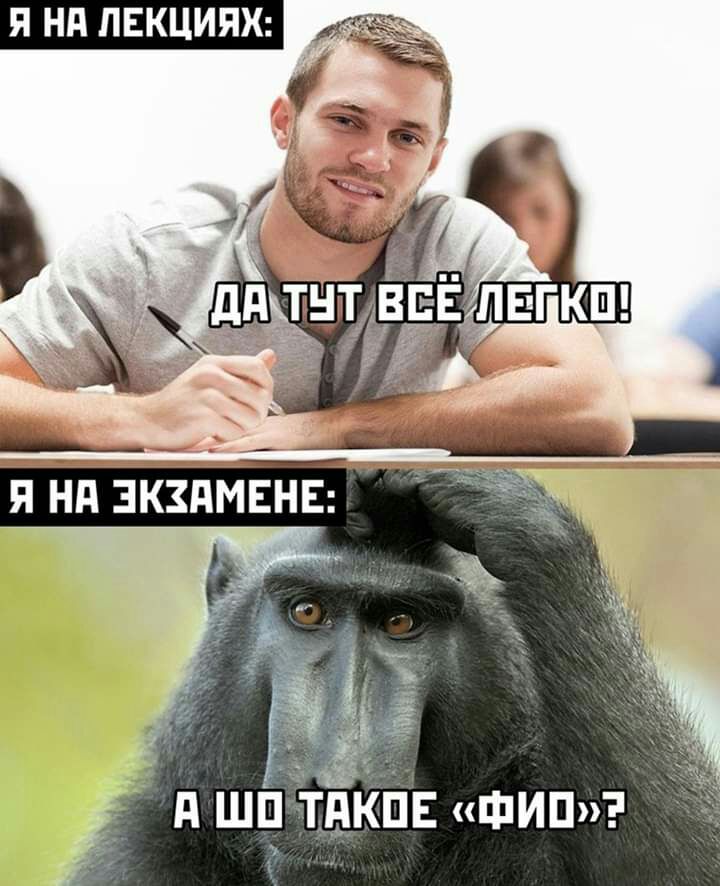 д ші_1 тыкв шин