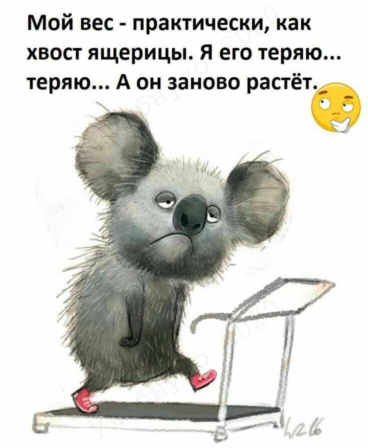 Мой вес практически как хвост ящерицы Я его теряю теряю А он заново растётдд к