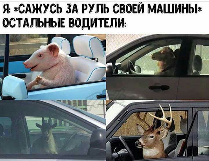 Я САЖУСЬ ЗА РУЛЬ СВОЕЙ МАШИНЫ ОСТАЛЬНЫЕ ВОДИТЕЛИ