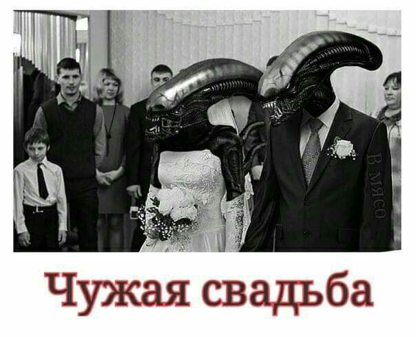 Чужая свадьба