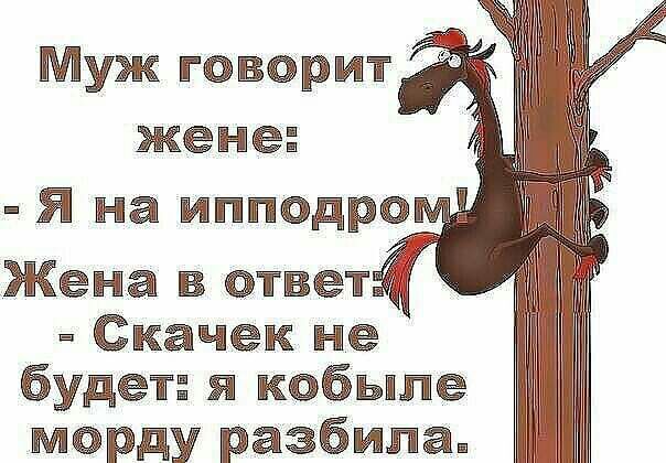 Муж ювормт жене Я на иппод Жена в ответ а Скачек не будет я КОбЫПе марду разбидта