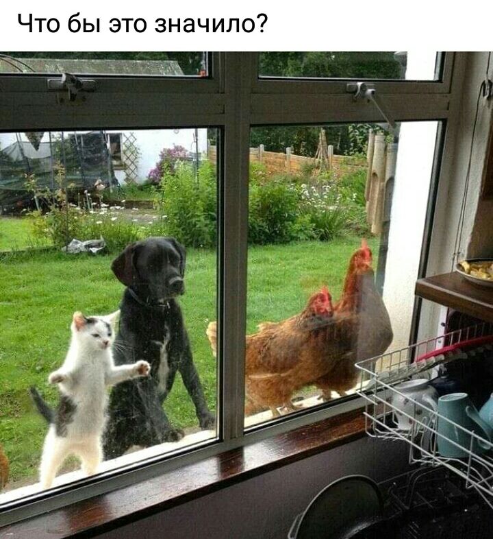 Что бы это значило