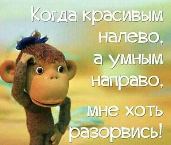 і ЭГГ 7 _ _ 1_р_і А ЭЦ ЕРУМНЫМ г Ш ЗР ЕЗЭ