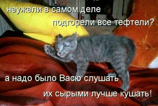 Рдепе ивсе тефтели а надо было ВасЁіспушгНЧ их сырыми лучше кэшать