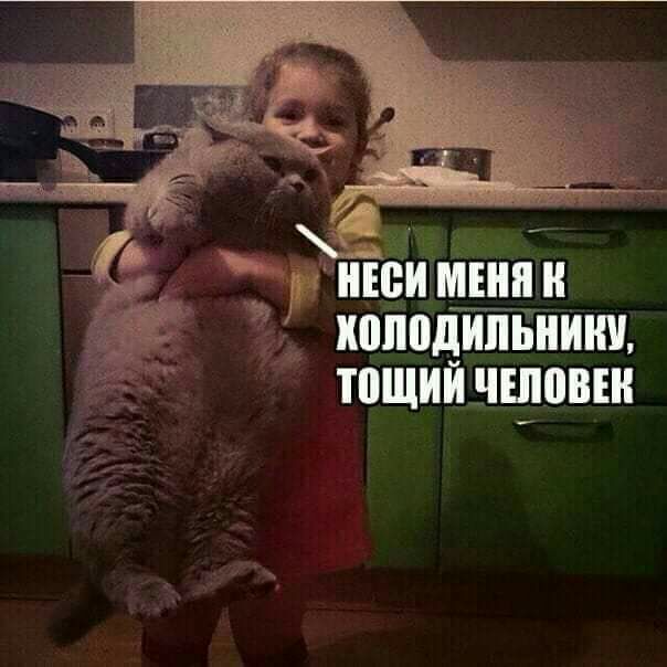 Эг квипдипьнинц ТПЩИЙ ЧШШШ