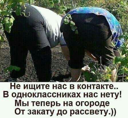 1 1 _ Не ищите нас в контакте В одноклассниках нас нету Мы теперь на огороде От закату до рассвету