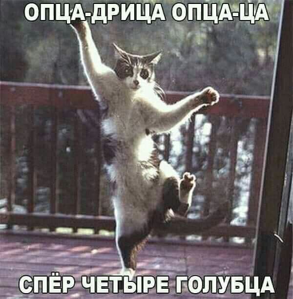 опцА дРиЦі о ПЙЪЦА Эт _____