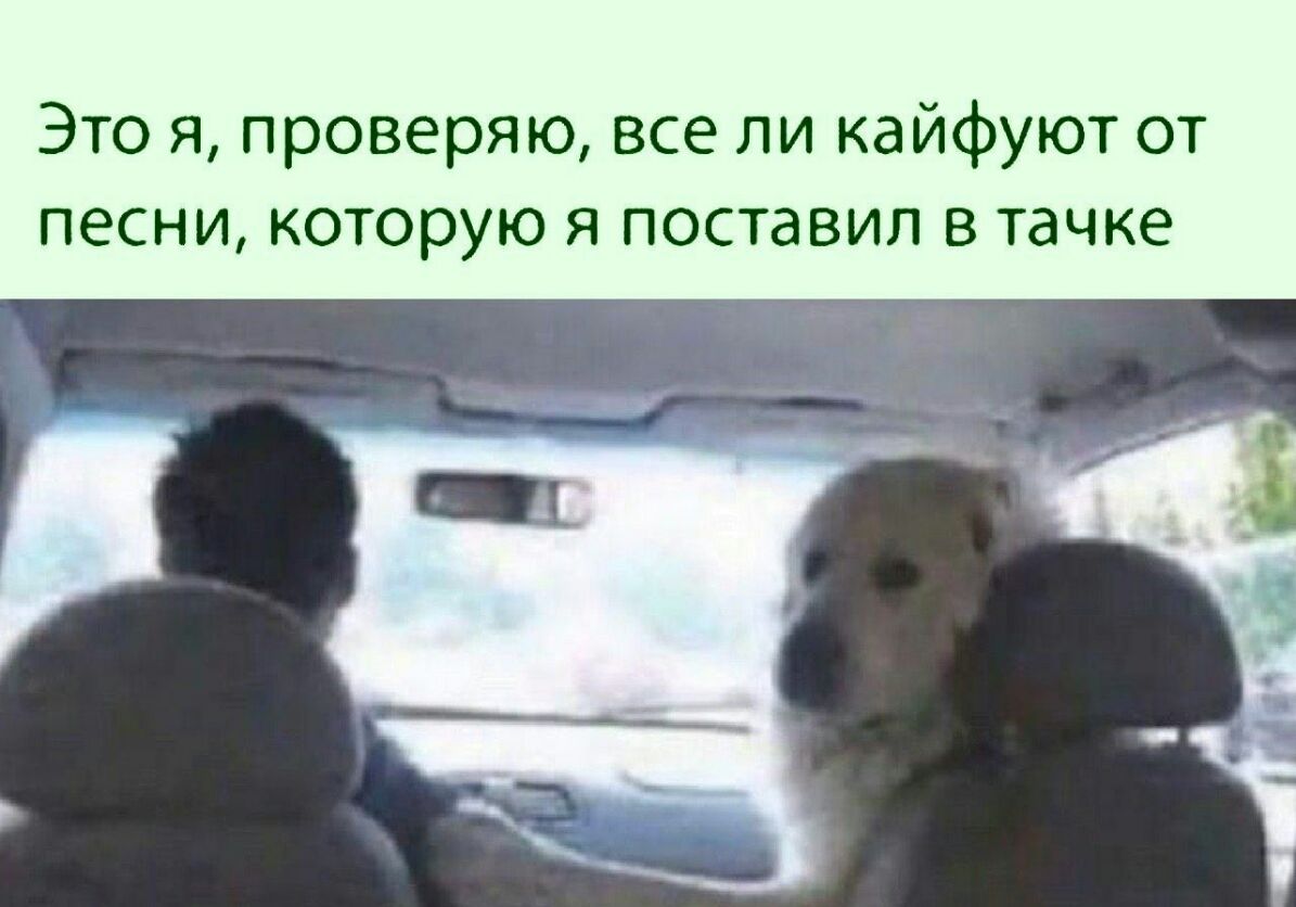 Это я проверяю все ли кайфуют от песни которую я поставил в тачке