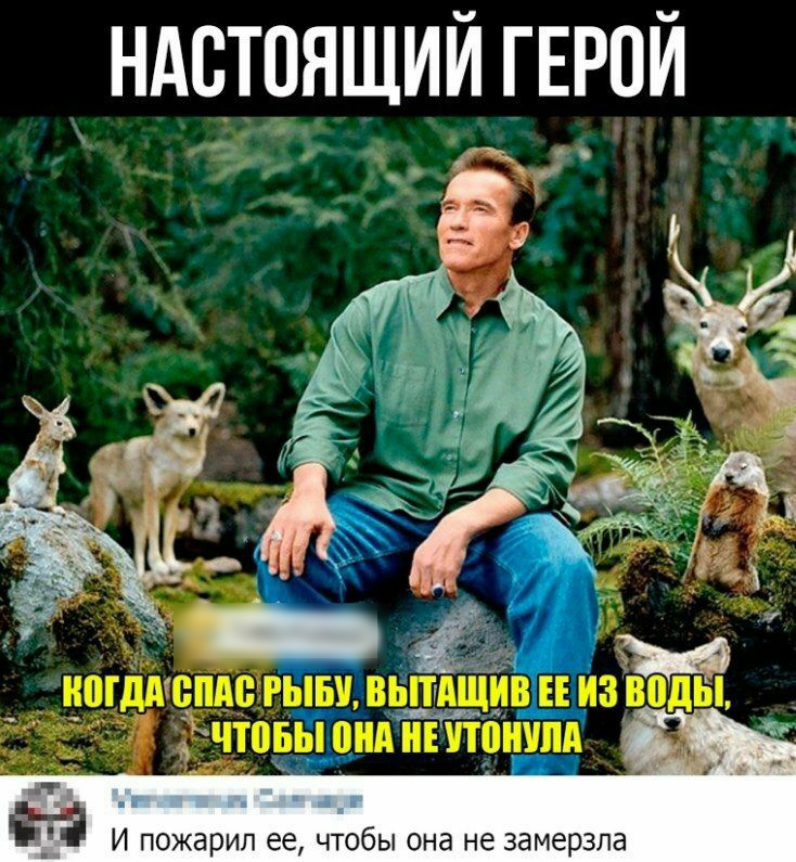 ндстояший ГЕРОЙ _ т И пожарил ее чтобы она не замерзла
