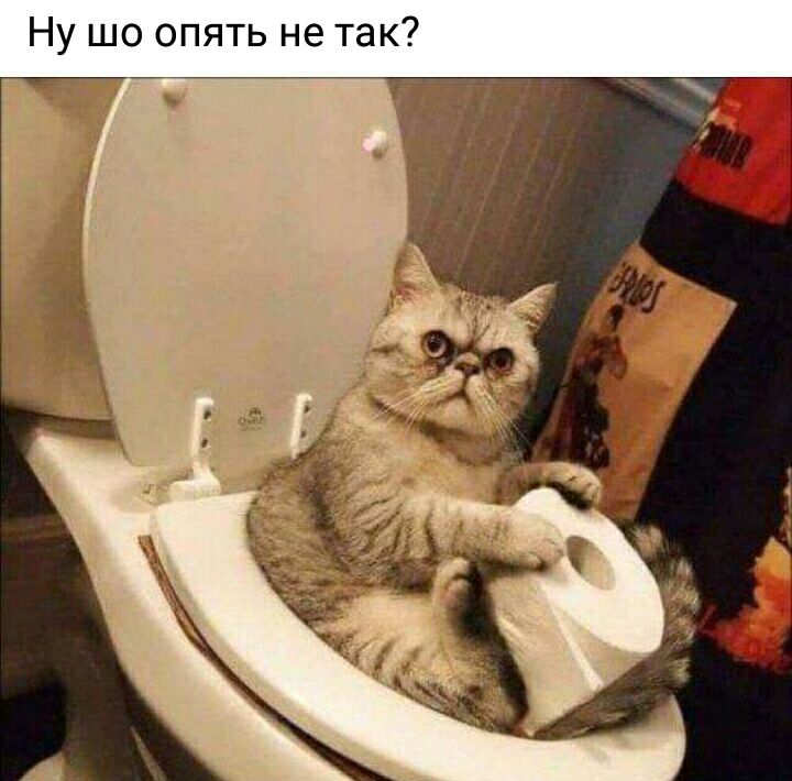 Ну шо опять не так