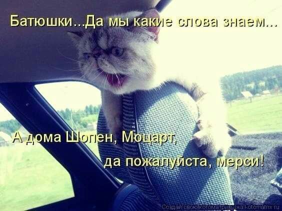 Батюшки