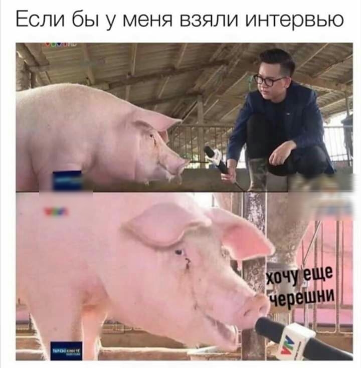 Если бы у меня взяли интервью
