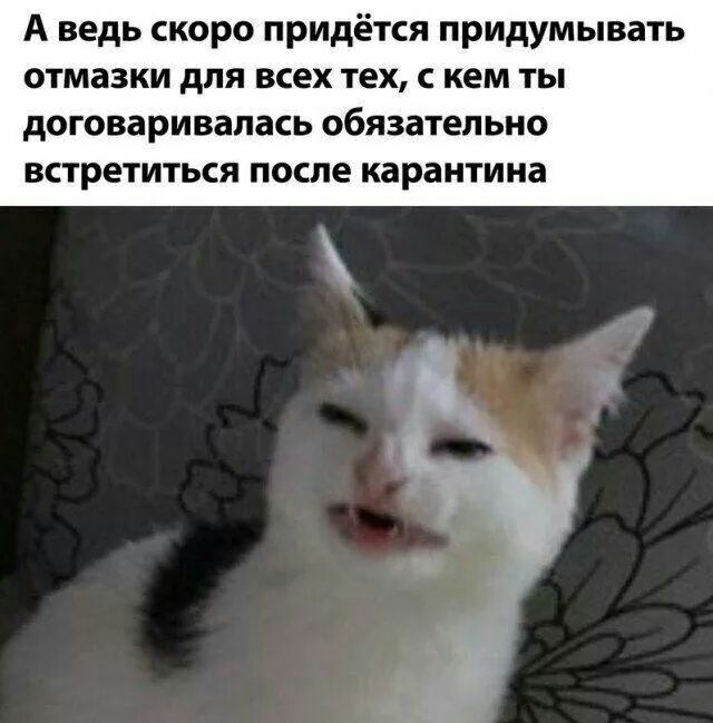 А ведь скоро придётся придумывать отмазки для всех тех с кем ты дОГОВЗРИВЗЛЗСЬ ОбЯЗЗТеЛЬНО встретиться после карантина