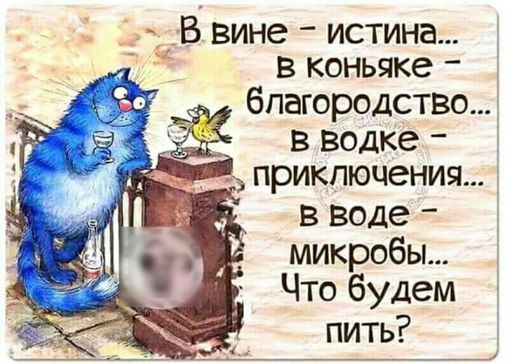 В вине истина в коньяке благородствоэ в водке в воде микробы Что будем пить