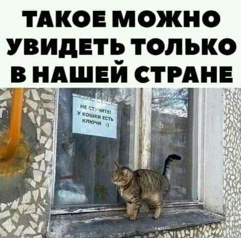 ТАКОЕ МОЖНО УВИДЕТЬ ТОЛЬКО В НАШЕЙ СТРАНЕ