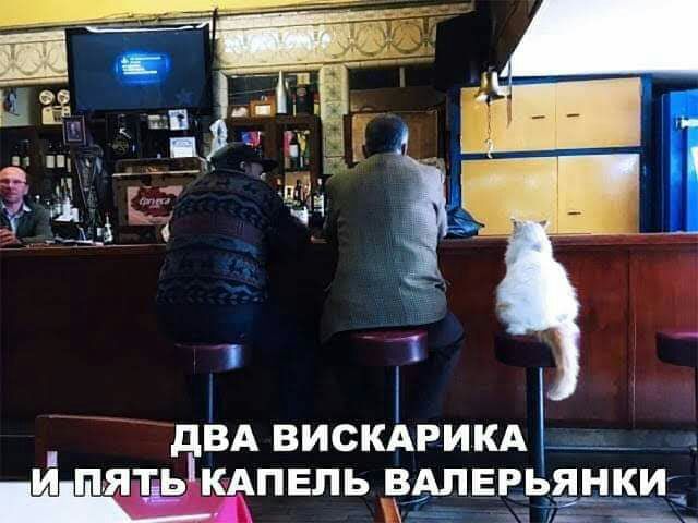 ВА ВИСКАРИКА_ ПЯТЬ КАПЕЛЬ ВАЛЕРЬЯНКИ 733