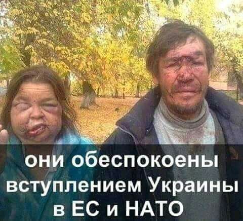 они обеспокоены вступпением Украины в ЕС и НАТО
