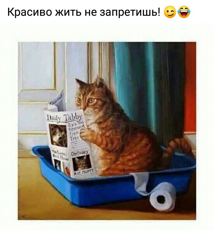 Красиво жить не запретишь