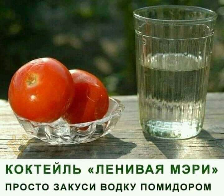 КОКТЕЙЛЬ ЛЕНИВАЯ МЭРИ просто ЗАКУСИ водку помидором