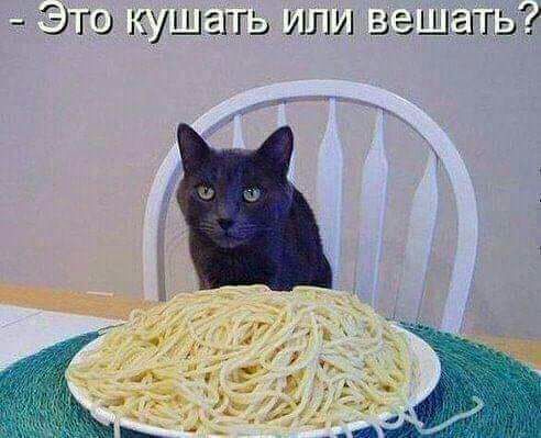 Это кушать или вешать