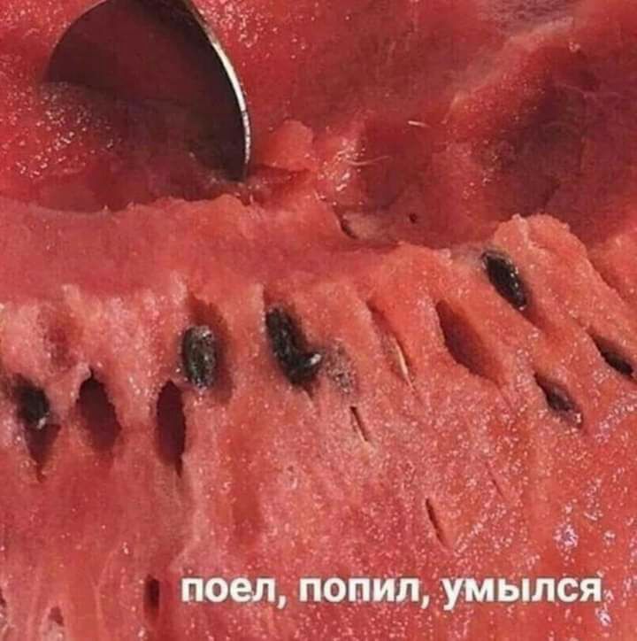 _ Ъ щит іЩіПШішЁШПЕЁЗЪ