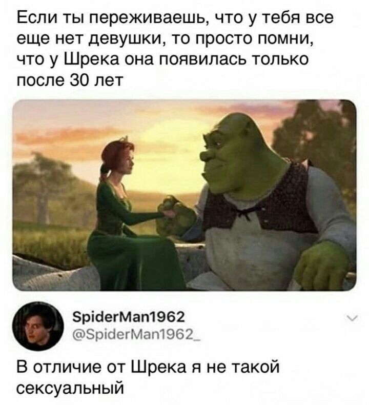 Если ты переживаешь что у тебя все еще нет девушки то просто помни что у Шрека она появилась только после 30 лет рібегМап1962 ЭрібегМап1962 В отличие от Шрека я не такой сексуальный