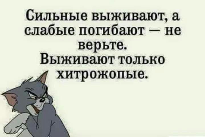 Сильные выживают а слабые погибают не верьте Выживают только хитрожопые