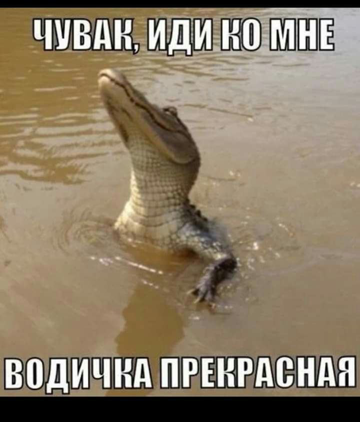 ШШШЁ ВЦШЩШВ ШЁПШЕБШШШ _