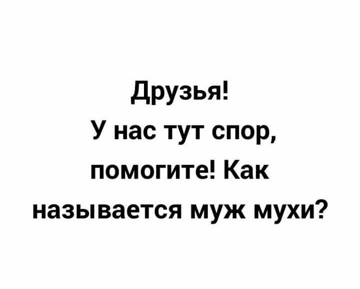 друзья У нас тут спор помогите Как называется муж мухи