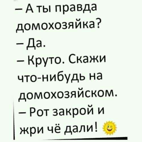А ты правда домохозяйка Да Круто Скажи что нибудь на домохозяйском Рот закрой И жри чё дали