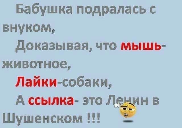 Бабушка подралась с внуком доказывая что мышь животное Лайки собаки А ссылка это н в Шушенском