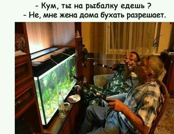 Кум ты на рыбалку едешь Не мне жена дома бухать разрешает