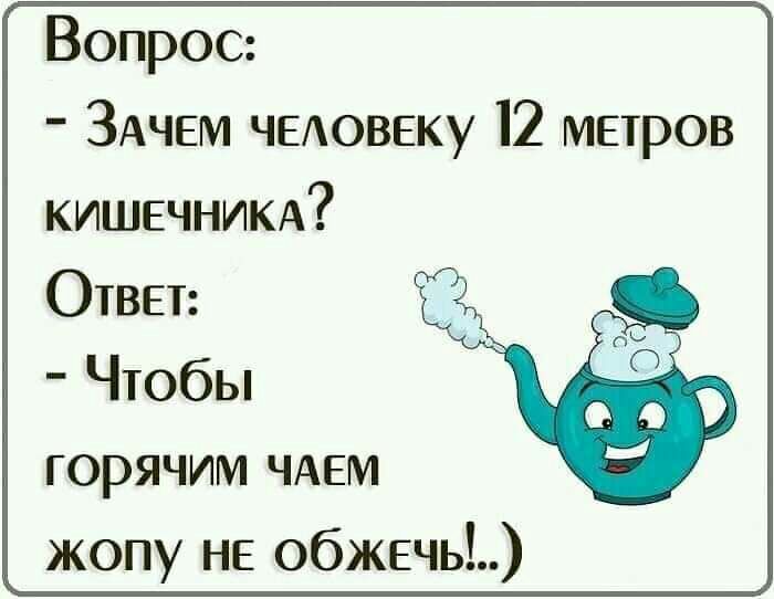 Вопрос ЗАЧЕМ ЧЕАОВЕКУ 12 метров КИШЕЧНИКА Ответ Чтобы горячим ЧАЕМ жопу не обжечь