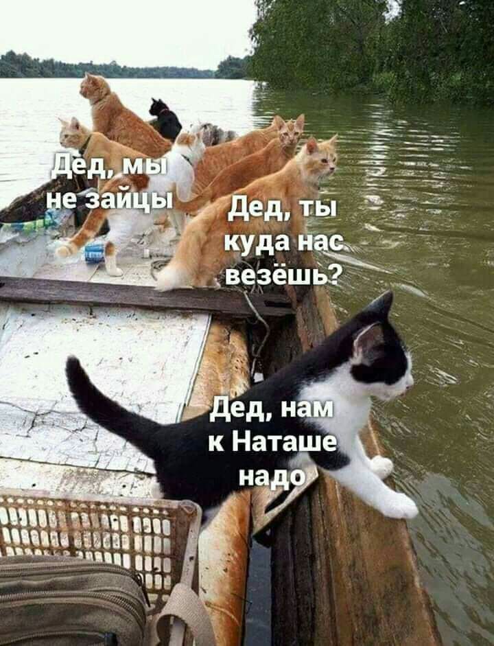 дед ЕЁ везёшвзд _ куда дей