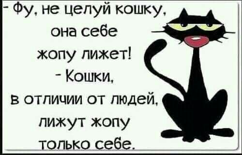 Фу не целуй кошку она себе жопу лижет Кошки в отличии от людей пижут жопу _юлькодеіа
