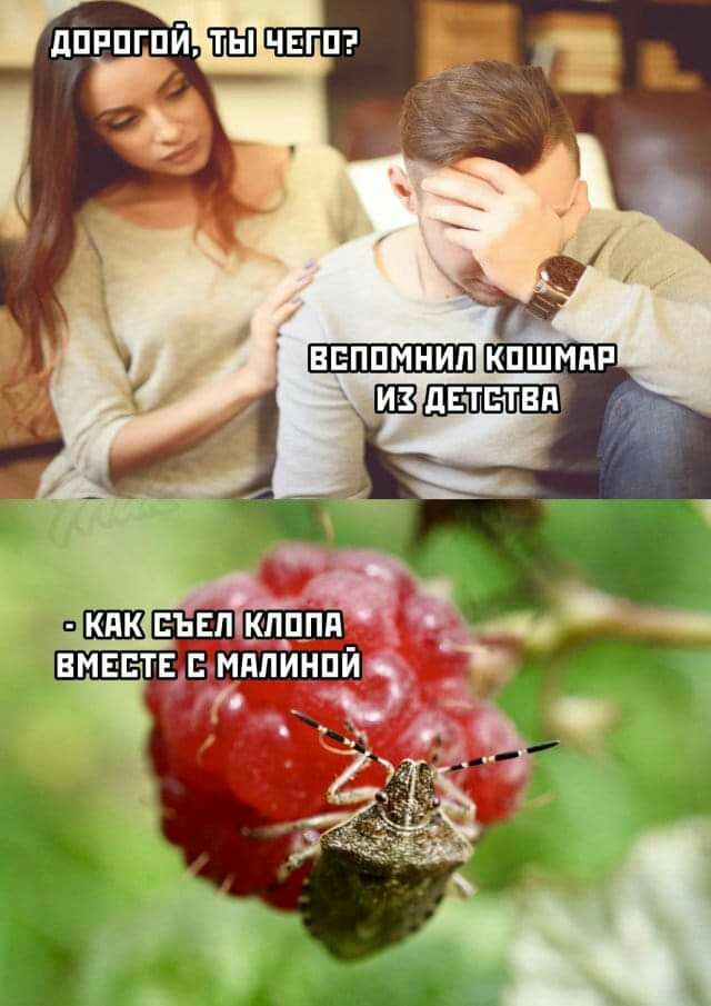 дпЁЫШчвгпэ _