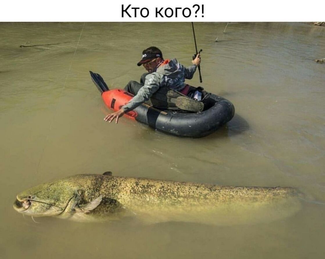 Кто кого