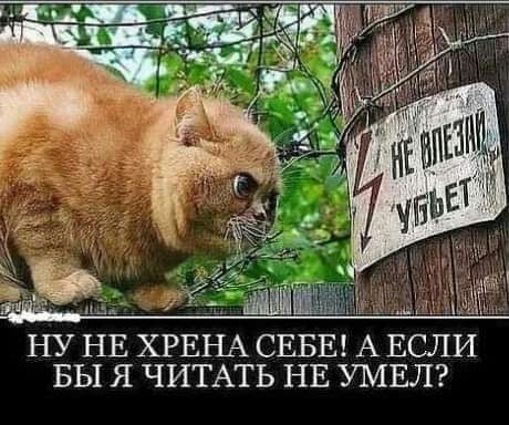 БЫ Я ЧИТАТЬ НЕ УМЕЛ