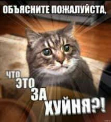 ОБЪПШШ 3 Ъ