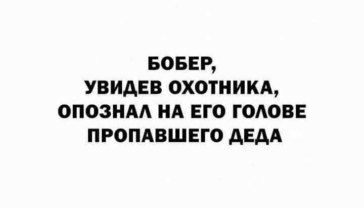 БОБЕР увидев охотникд опознм НА его годовв пропдвшвго АЕдА