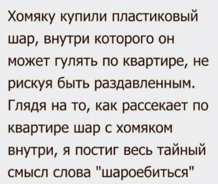 Хомяку купили пластиковый шар внутри которого он может гулять по квартире не рискуя быть раздавленным Глядя на то как рассекает по квартире шар с хомяком внутри я постиг весь тайный смысл слова шароебиться