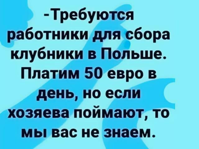 Тре6уются работники для сбора клубники в Польше Платим 50 евро в день но если хозяева поймают то мы вас не знаем