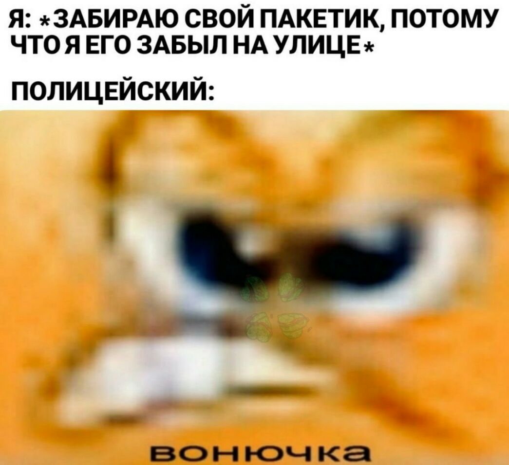 Я ЗАБИРАЮ СВОЙ ПАКЕТИК ПОТОМУ ЧТО Я ЕГО ЗАБЫЛ НА УЛИЦЕ полицвйский ВОН ЮЧ КЭ